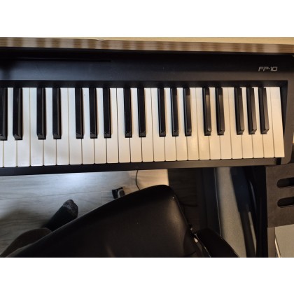 ROLAND F10