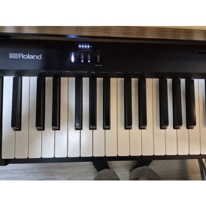 ROLAND F10