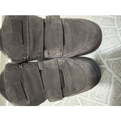 코이세이오 범블 브라운 250