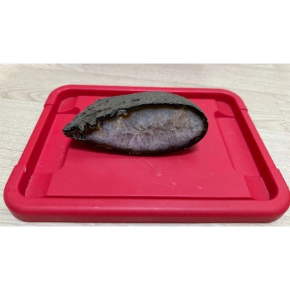 자수정 단면 [고급 희귀 수정 원석 /인테리어 소품 16*10cm]